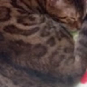 Meet your Posher, Jenna